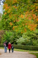 verde e amarelo - Paris photographer - fotografo brasileiro em Paris - Versailles (18)